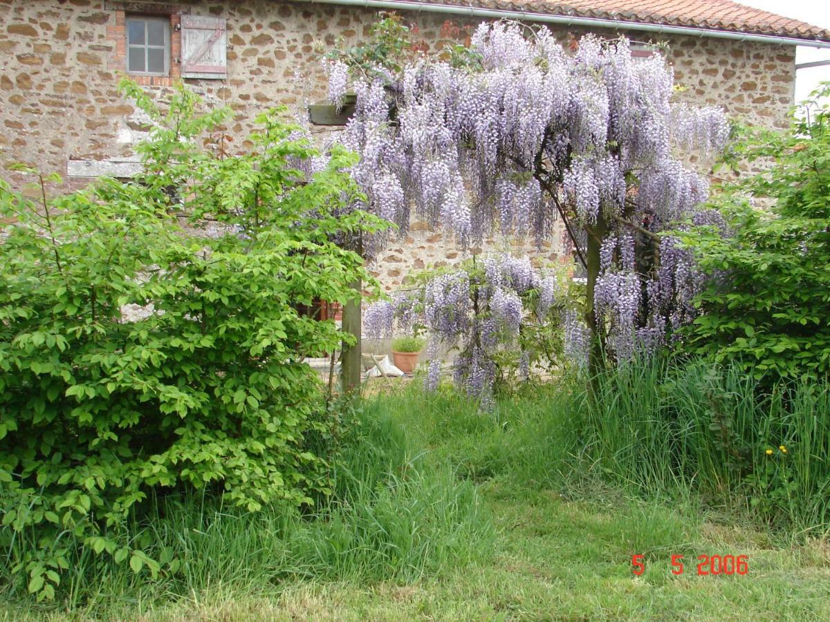 Gite Climatise De La Haute Rue Touvois Luaran gambar