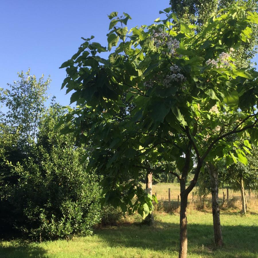 Gite Climatise De La Haute Rue Touvois Luaran gambar
